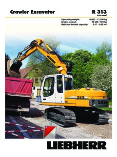 Liebherr R 313 Litronic Specifications